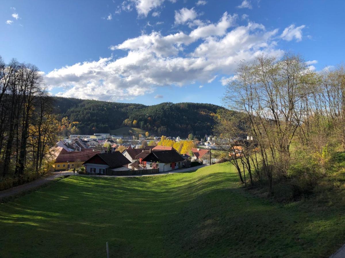 Haus Am Schloss Bleiburg Esterno foto